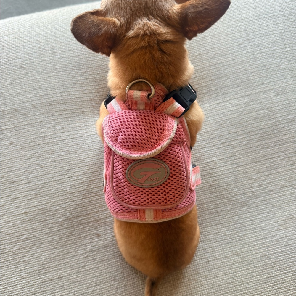 🎒 Pink Mesh Dog Harness w/ Backpack – Small